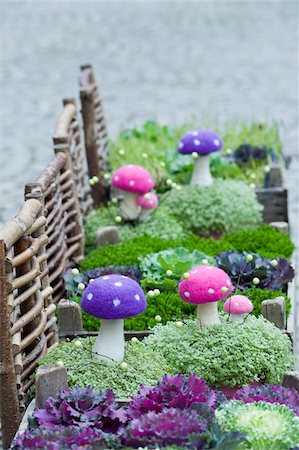 Aanita Muscaria and Flowering Kale, Salzburg, Austria Foto de stock - Sin royalties Premium, Código: 600-03762606