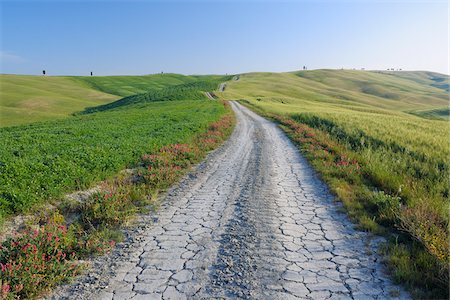 Dirt Road through Fields and Hills, Val d'Orcia, San Quirico d'Orcia, Siena Province, Tuscany, Italy Stock Photo - Premium Royalty-Free, Code: 600-03787196