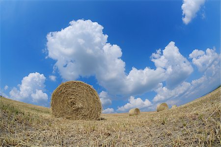 fish eye view - Hay Bales in Field, Pienza, Val d'Orcia, Siena Province, Tuscany, Italy Stock Photo - Premium Royalty-Free, Code: 600-03787201