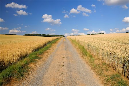 Chemin d'accès entre les champs de blé, Marktheidenfeld, Franconie, Bavière, Allemagne Photographie de stock - Premium Libres de Droits, Code: 600-03787404