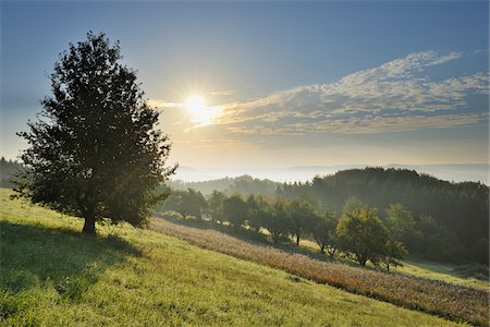 dawn horizon - Breunsberg, Aschaffenburg, Franconia, Bavaria, Germany Stock Photo - Premium Royalty-Free, Code: 600-03787430