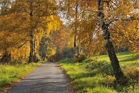 Country Road, Lindenfels, Bergstrasse District, Odenwald, Hesse, Allemagne Photographie de stock - Premium Libres de Droits, Code: 600-03787462