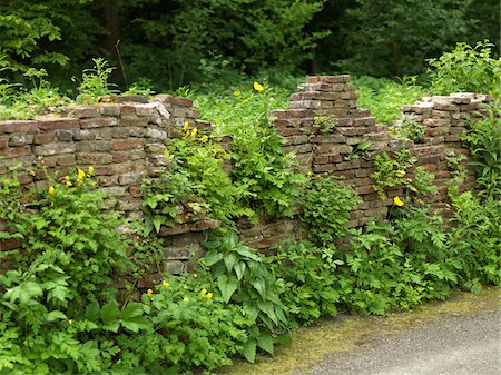 flowers gardens holland - Crumbling Brick Wall, Amstelpark, Amsterdam, Hollande-septentrionale, Pays-Bas Photographie de stock - Premium Libres de Droits, Code: 600-03782460