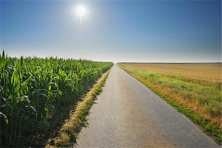 Country Road between Fields, Unterpleichfeld, Franconia, Bavaria, Germany Foto de stock - Sin royalties Premium, Código: 600-03799529