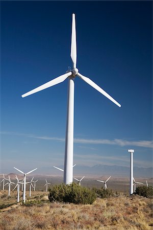 désert de mojave - Tehachapi Pass Wind Farm, Tehachapi, Kern County, Californie, Etats-Unis Photographie de stock - Premium Libres de Droits, Code: 600-03814718