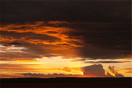 encoberto - Sunset, Masai Mara National Reserve, Kenya Foto de stock - Royalty Free Premium, Número: 600-03814840