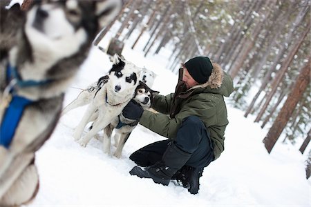 simsearch:600-03814946,k - Homme avec des traîneaux à chiens, Frisco, Summit County, Colorado, Etats-Unis Photographie de stock - Premium Libres de Droits, Code: 600-03814942