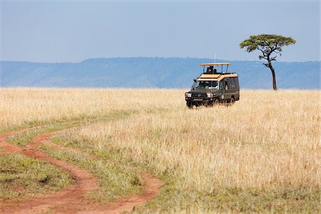 Safari véhicule, Masai Mara National Reserve, District de Narok, Province de la vallée du Rift, au Kenya Photographie de stock - Premium Libres de Droits, Code: 600-03836169