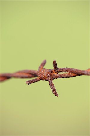 sharp objects - Rusty Barbed Wire, Hesse, Germany Stock Photo - Premium Royalty-Free, Code: 600-03836174