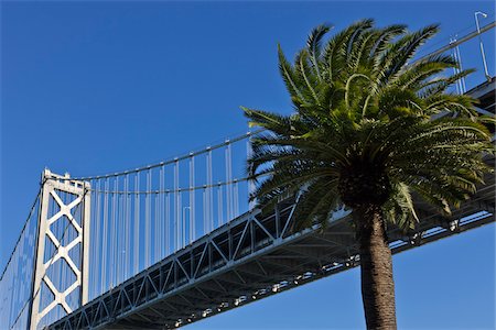 palm tree, california - Bay Bridge and Palm Tree, San Francisco, California, USA Foto de stock - Sin royalties Premium, Código: 600-03848865