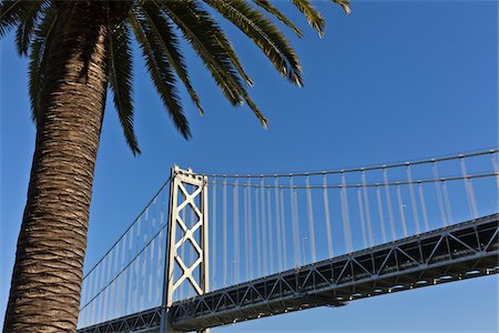 suspended bridge - Bay Bridge with Palm Tree, Embarcadero, San Francisco, California, USA Stock Photo - Premium Royalty-Free, Code: 600-03848867