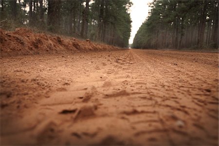 dirt track - Gros plan du chemin de terre, la forêt nationale de Sam Houston, Texas, Etats-Unis Photographie de stock - Premium Libres de Droits, Code: 600-03849054