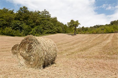 Bale of Hay, Umbria, Italy Stock Photo - Premium Royalty-Free, Code: 600-03893451