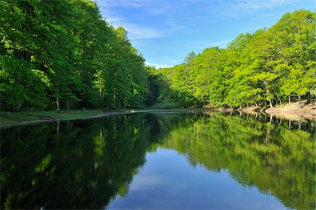 sauerland - Mohnesee, Soest District, Suedufer, North Rhine-Westphalia, Germany Foto de stock - Sin royalties Premium, Código: 600-03906963