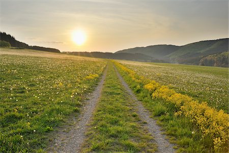 path into the sun - Wissinghausen, Medebach, Hochsauerland, North Rhine-Westphalia, Germany Stock Photo - Premium Royalty-Free, Code: 600-03906973