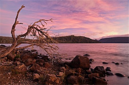 sunset australia - Shore of Lake St Clair, Cradle Mountain-Lake St Clair National Park, UNESCO World Heritage Area, Tasmania, Australia Stock Photo - Premium Royalty-Free, Code: 600-03907273