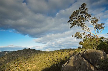 simsearch:600-03907358,k - Ettrema Wilderness Area, Morton National Park, New South Wales, Australia Fotografie stock - Premium Royalty-Free, Codice: 600-03907301