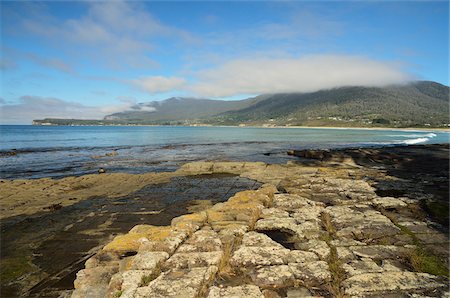Tessellated Pavement, Pirates Bay, Tasman Peninsula, Tasmania, Australia Stock Photo - Premium Royalty-Free, Code: 600-03907347