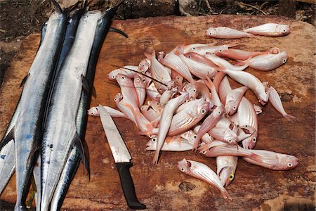 Fresh Fish, Stone Town, Unguja, Zanzibar, Tanzania Stock Photo - Premium Royalty-Free, Code: 600-03907375