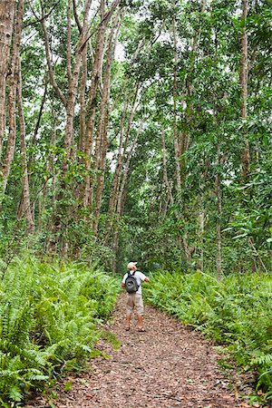 Tourist, , Jozani Chwaka Bay National Park, Unguja, Zanzibar, Tanzania Stock Photo - Premium Royalty-Free, Code: 600-03907380