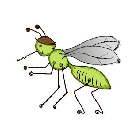 Illustration of Mosquito Stock Photo - Premium Royalty-Free, Code: 600-03907558