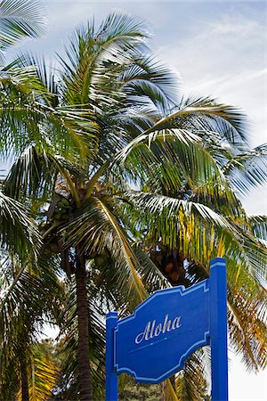 souhaiter la bienvenue - Aloha chanter, Kauai, Hawaii, USA Photographie de stock - Premium Libres de Droits, Code: 600-03907738