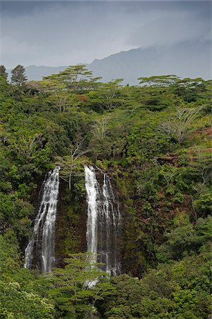 Opaeka'a Falls, Kauai, Hawaii, USA Foto de stock - Sin royalties Premium, Código: 600-03907733