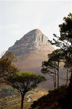 signal hill - Lion's Head mountain viewed from Signal Hill, Cape Town South Africa, Foto de stock - Sin royalties Premium, Código: 614-05523109