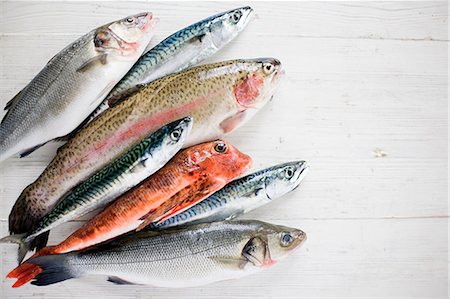 fish overhead - A selection of raw fish Stock Photo - Premium Royalty-Free, Code: 614-05557046