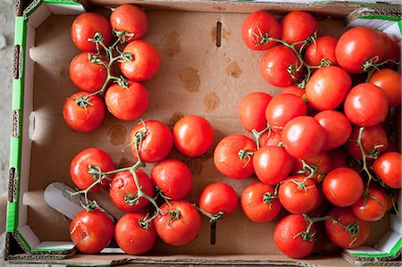 Overhead view of ripe tomatoes Foto de stock - Sin royalties Premium, Código: 614-05662361