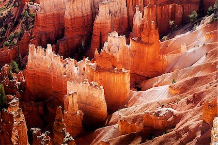 dramatic landscape - Bryce Canyon National Park, Utah, USA Foto de stock - Sin royalties Premium, Código: 614-05792467