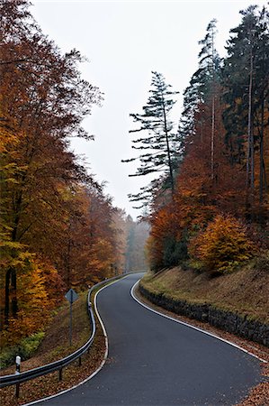 Country road through forest near Frankfurt, Germany Foto de stock - Sin royalties Premium, Código: 614-05792498