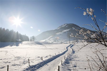 snowy sun nobody - Snow covered landscape, Kirchberg, Tirol, Austria Stock Photo - Premium Royalty-Free, Code: 614-05955393