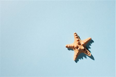 plain background - Étoile de mer sur fond turquoise Photographie de stock - Premium Libres de Droits, Code: 614-05955439