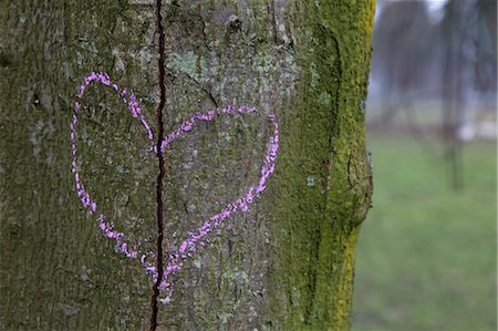 Broken heart drawn on a tree trunk Stock Photo - Premium Royalty-Free, Code: 614-05955481