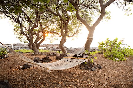 simsearch:614-08874062,k - Hammock by the ocean on the Big Island of Hawaii Fotografie stock - Premium Royalty-Free, Codice: 614-05955565