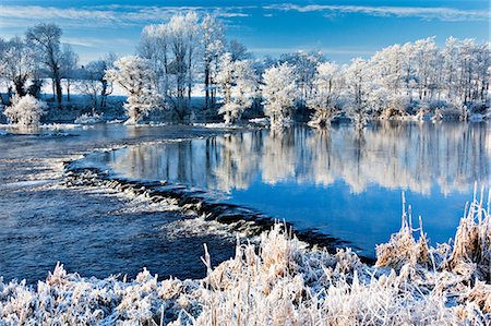 plants winter ice - River shannon in winter, worrels end, castleconnell, county limerick, ireland Stock Photo - Premium Royalty-Free, Code: 614-06002480