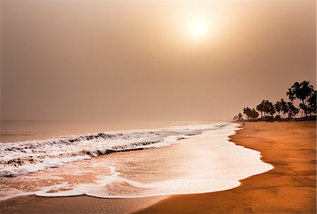 palm tree on beach - Beach, elmina, ghana, west africa Stock Photo - Premium Royalty-Free, Code: 614-06002492