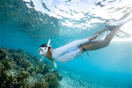 Snorkeler views coral reef Foto de stock - Sin royalties Premium, Código: 614-06002576