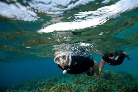 sommozzatore (uomo e donna) - Couple views coral reef Foto de stock - Sin royalties Premium, Código: 614-06002577