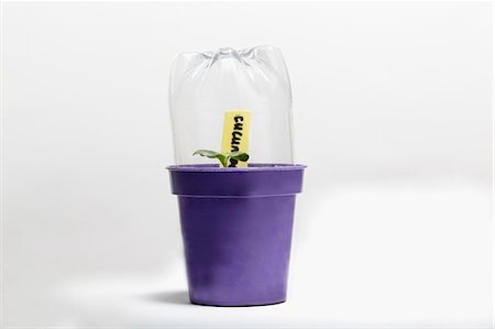 plastic - Seedling growing under plastic bottle Stock Photo - Premium Royalty-Free, Code: 614-06044051