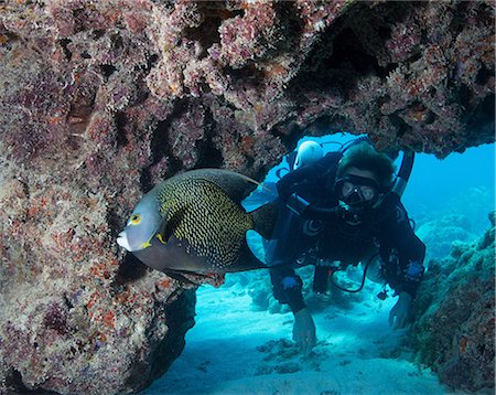 plongeuse sous-marine - Plongeur sur recycleur Photographie de stock - Premium Libres de Droits, Code: 614-06044214