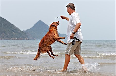 Homme qui joue avec le chien sur la plage en Thaïlande Photographie de stock - Premium Libres de Droits, Code: 614-06044431