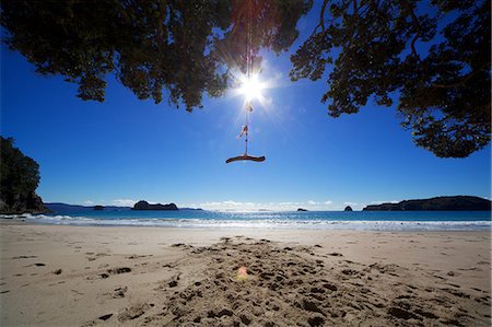 Rope swing at beach, Hahei, Waikato Region, New Zealand Stock Photo - Premium Royalty-Free, Code: 614-06044713