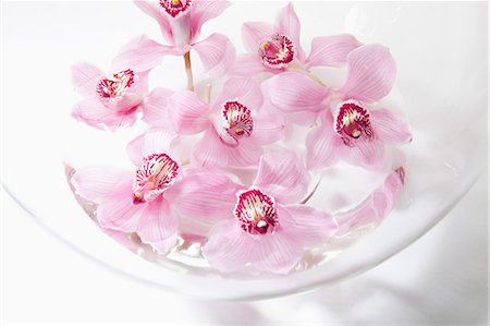Pink flowers in glass bowl Foto de stock - Sin royalties Premium, Código: 614-06043706
