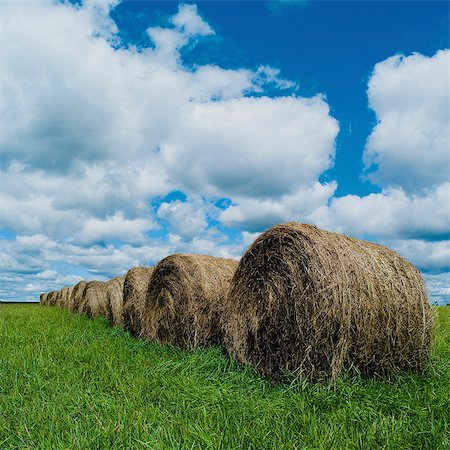 simsearch:614-01626833,k - Row of hay bales in a field Foto de stock - Sin royalties Premium, Código: 614-06116083