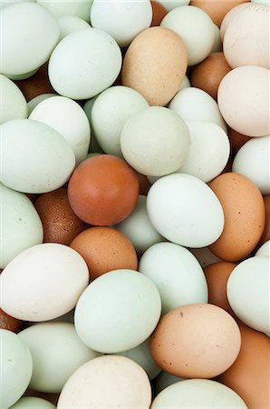 Grande quantité d'oeufs Photographie de stock - Premium Libres de Droits, Code: 614-06169179