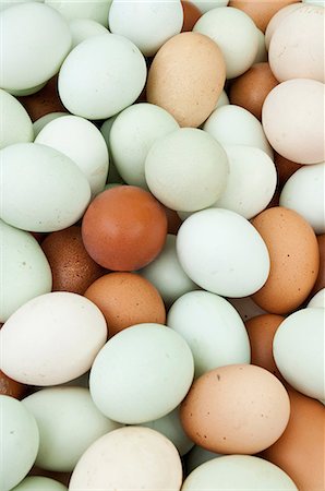 Large amount of eggs Foto de stock - Sin royalties Premium, Código: 614-06169179