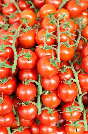 fruta y verdura - Tomatoes on vines Foto de stock - Sin royalties Premium, Código: 614-06169187