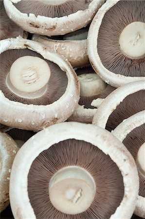 fresh fruits and vegetables pictures - Portobello mushrooms Stock Photo - Premium Royalty-Free, Code: 614-06169181